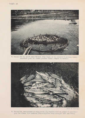 Камчатская экспедиция Федора Павловича Рябушинского, снаряженная при содействии Императорского Русского географического общества. Ботанический отдел. Вып. 1: Комаров В.Л. Путешествие по Камчатке в 1908–1909 г. М.: Тип. П.П. Рябушинского, 1912.